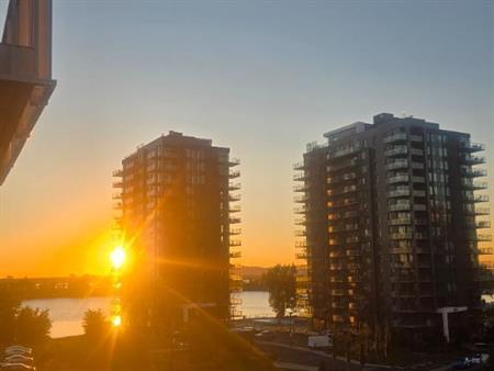 Magnifique 3 1/2, vue sur le fleuve St-Laurent - Disponible le 1er octobre