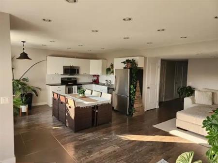 Walkout Basement suite for rent in Copperfield | Calgary