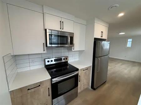 Stylish Brand-New 3 Bed, 2 Bath in Beautiful Renfrew – All Utilities Included! | 1448 Remington Road Northeast, Calgary