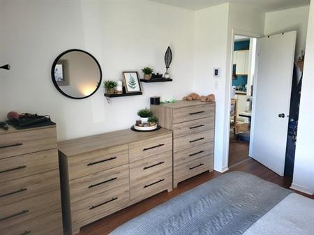 Beau logement 4 1/2 dans Lebourgneuf à louer