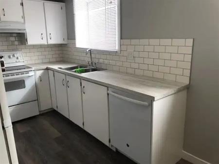 So Nice! - Bright Spacious Renovated 3 Bedroom Lower Legal Duplex Suite | Lower - 12831 120 Street, Edmonton