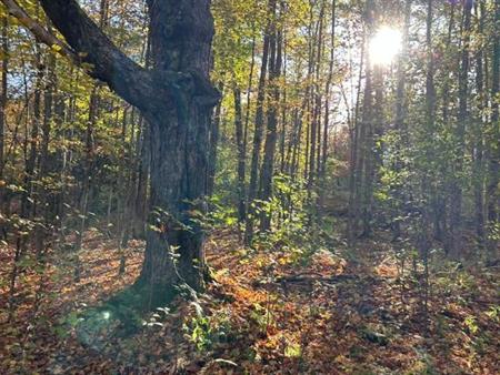 Terrain Sherbrooke ch Gendron