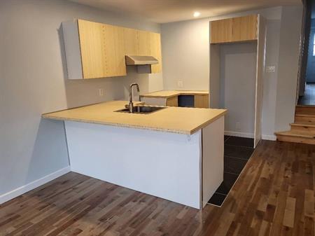 Très bel appartement 4 1/2 remis à neuf, libre 1er novembre 2025