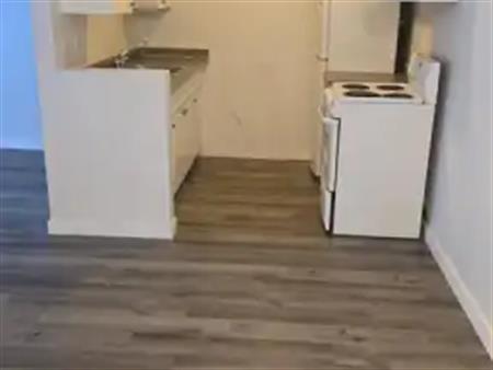 Chateau Fontaine at 10810 112 St w/1BDR &2BDR in Queen Mary Park | 10810 112 Street Northwest, Edmonton