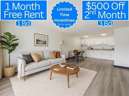 Michelle Manor 9625-156 St | 9625 156 Street Northwest, Edmonton