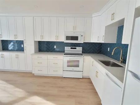 Newly Renovated 3 bedroom townhome with 2 full baths and 2 half baths | Calgary