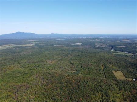 Magog (Estrie) : Terre à bois avec droit de construction