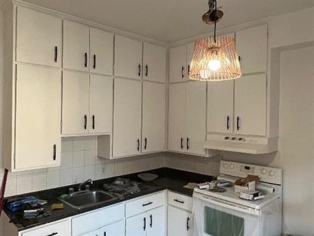 Petite-Italie / Little Italy - Appartement 2 à 3 Chambres au Rez-de-Chaussée à Louer – Jean Talon - La Petite-Patrie
