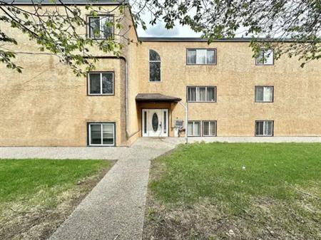 Newly Painted 2 Bedroom 1 Bathroom Condo*Parking Included*Laundry In Building | 3 - 10904 159 Street Northwest, Edmonton