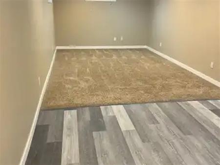 Beautiful 1 Bedroom Basement Suite for Rent | Edmonton