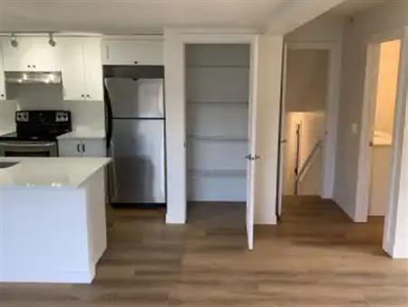 Fully Renovated 2 bedroom, 1 bathroom basement suite in beautiful Woodbine | 91 Woodford Crescent Southwest, Calgary
