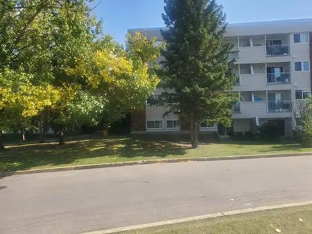 #8, 11255 31 Ave NW Edmonton, AB | 11255 31 Avenue Northwest, Edmonton