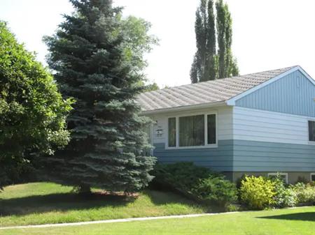 Large 1 Bedroom Lower Suite in Parkdale | 732 - 36 St NW, Calgary