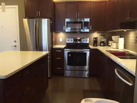 Just renovated Condo, facing SETON Boulevard, Half rent fee off on first month | 16 Auburn Bay Link SE, Calgary