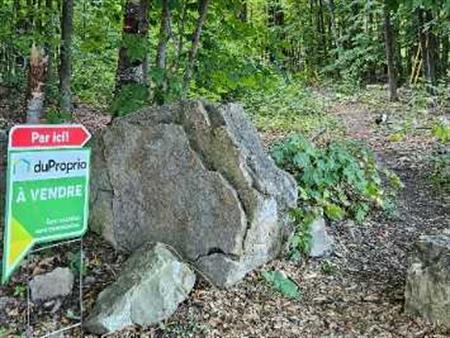 📍 21$/pi². Terrain à vendre – Beaconsfield (Boisé Angell) Île de Montréal 166 000$