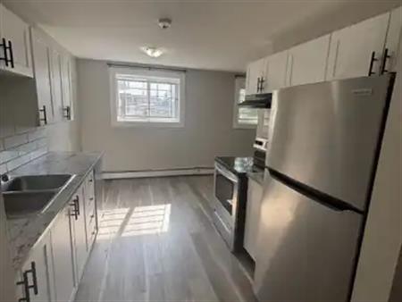 Beautifully Renovated Large 2 bedroom 1 Bathroom Unit For Rent | 1A - 12015 82 Street Northwest, Edmonton