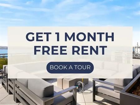 Shoreview - Brand New Studio, 1, & 2 Bed Rentals in Barrie | 41 Johnson Street, Barrie