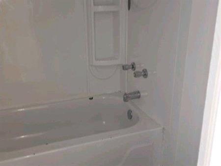 Appartement 4 1/2 libre début Octobre