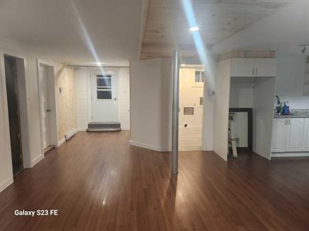 Grand Logement 3 1/2 de 750 pieds carrés