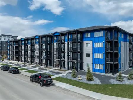 Skyview Apartments | 181 & 141 Skyview Bay NE, Calgary