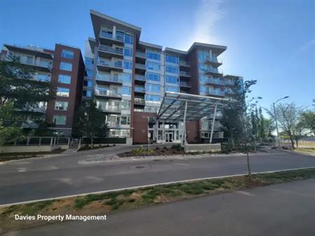 2612 109 Street NW - #313 | 2612 109 Street Northwest, Edmonton