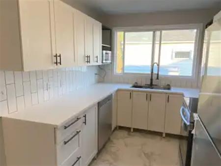 Fully renovated 3 bed - 1 bath main floor in Canora | Edmonton