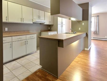 4 1/2 GRAND, lumineux, rénové (LORETTEVILLE)