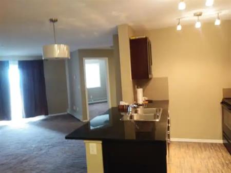 cozy 2 bedrooms, spacious living room | 355 Taralake Way Northeast, Calgary