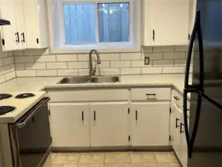 Large one bedroom basement Suit | 1002 McKinnon Drive Northeast, Calgary