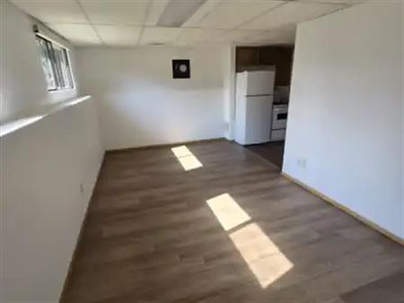 Newly Renovated & Affordable  Basement Suite | 679 Whiteridge Road Northeast, Calgary