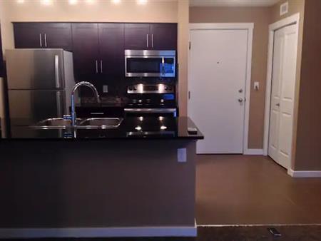 Fairly New 2BR Condo w/HEATED Parking (Price reduced) | 1510 Watt Dr SW, Edmonton