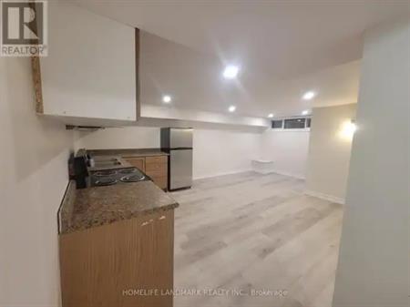 BASMENT - 307 AXMINSTER DRIVE | BASMENT - 307 AXMINSTER DRIVE, Richmond Hill