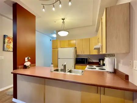 Fully furnished 2 Bedroom condo in Downtown | 203 - 10707 102 Ave, Edmonton