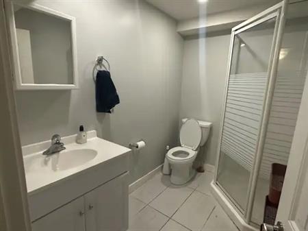Beautiful and spacious Basement in Seton | 403 Union Avenue SE, Calgary