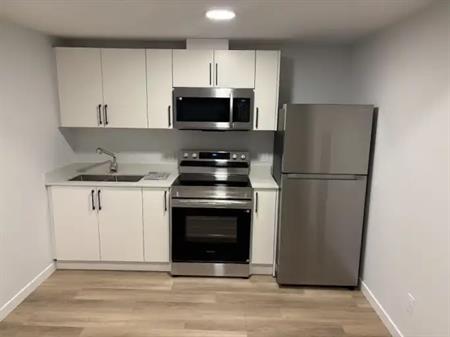 Brand New 2 Bedroom 1 Bathroom Legal Basement Suite | 6391 King Wynd Southwest, Edmonton