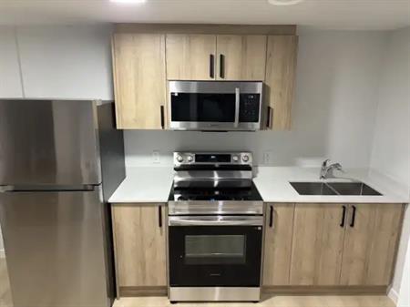 Brand New 2 Bedroom Legal Basement Suite! | 6389B King Wynd Southwest, Edmonton