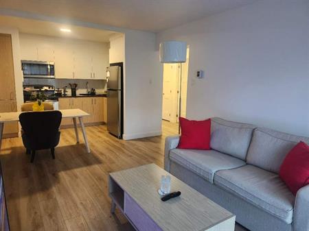 Cession de bail a court term ,disponible des maintenant pour entrer.