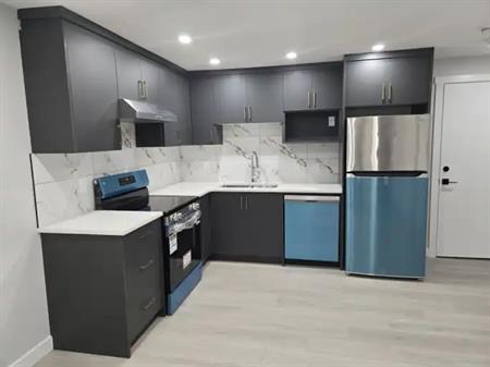 Quiet & Bright Basement Suite for Working Professional or Couple – Wolf Willow | Calgary
