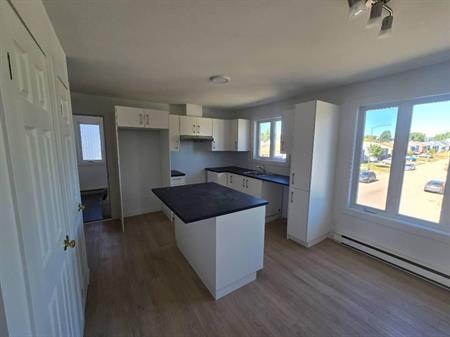 Logement 4 1/2 fraichement rénové à Beauport