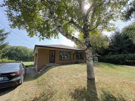 148B Carlisle Road | 148 Carlisle Road, Hamilton
