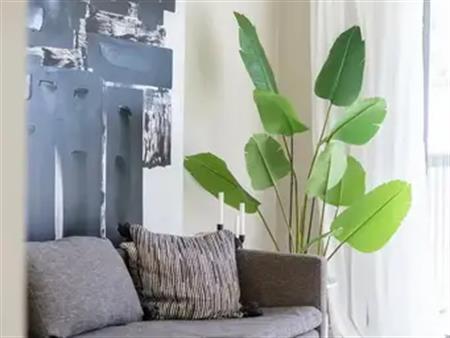 Surrey Gardens | 12747 102 Avenue, Surrey