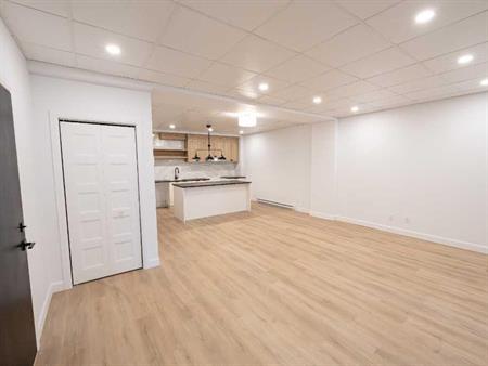 Appartement 4 & 1/2 avec rénovation récentes