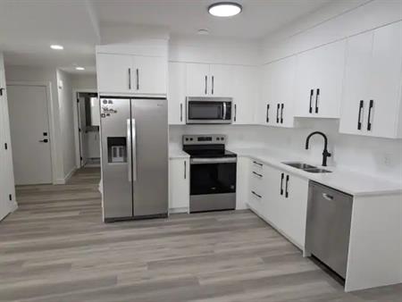 Cozy one bedroom basemen suite | Calgary