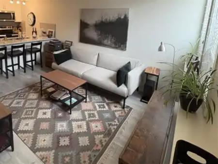Immaculate 1 Bdrm lower condo in Seton | Calgary