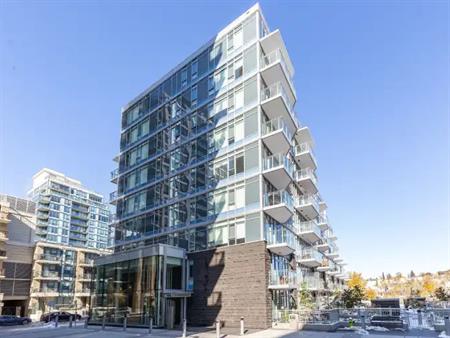 cozy 1 bedroom downtown apartment | 118 Waterfront Court SW, Calgary