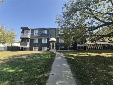 Newly Renovated 2 Large Bedroom Suites!!! | 6821 59 Avenue, Red Deer