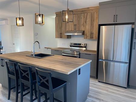 5-1/2 SPACIEUX ET MODERNE AVEC GARAGE