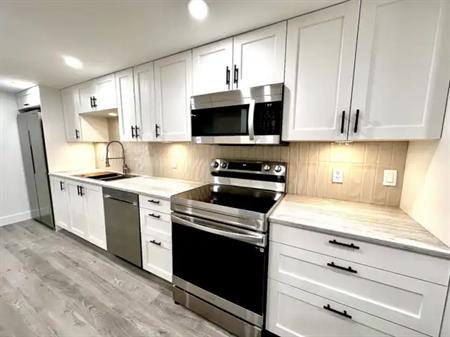 Brand New Fully Renovated Basement Suite backing onto park in Mayland Heights | 1013 16 Street Northeast, Calgary