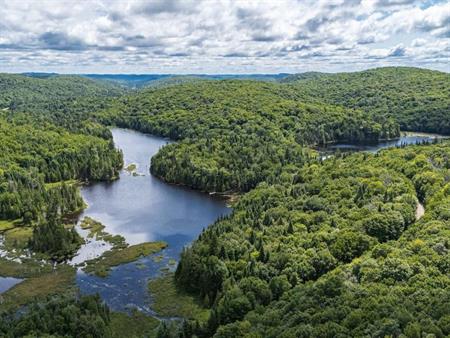 Laurentides, grand terrain de 3.8 acres, bord de l'eau à Sainte-Agathe-des-Monts au Lac Brière, près du parc Régional