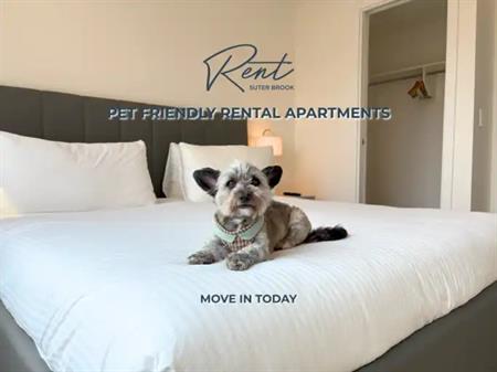 Rent Suter Brook in Suter Brook Village | 302 Morrissey Road, Port Moody